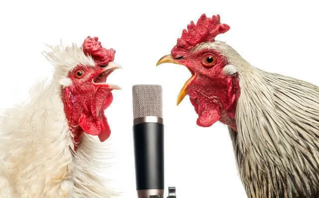 Ejercicios de técnica para evitar los gallos en la voz